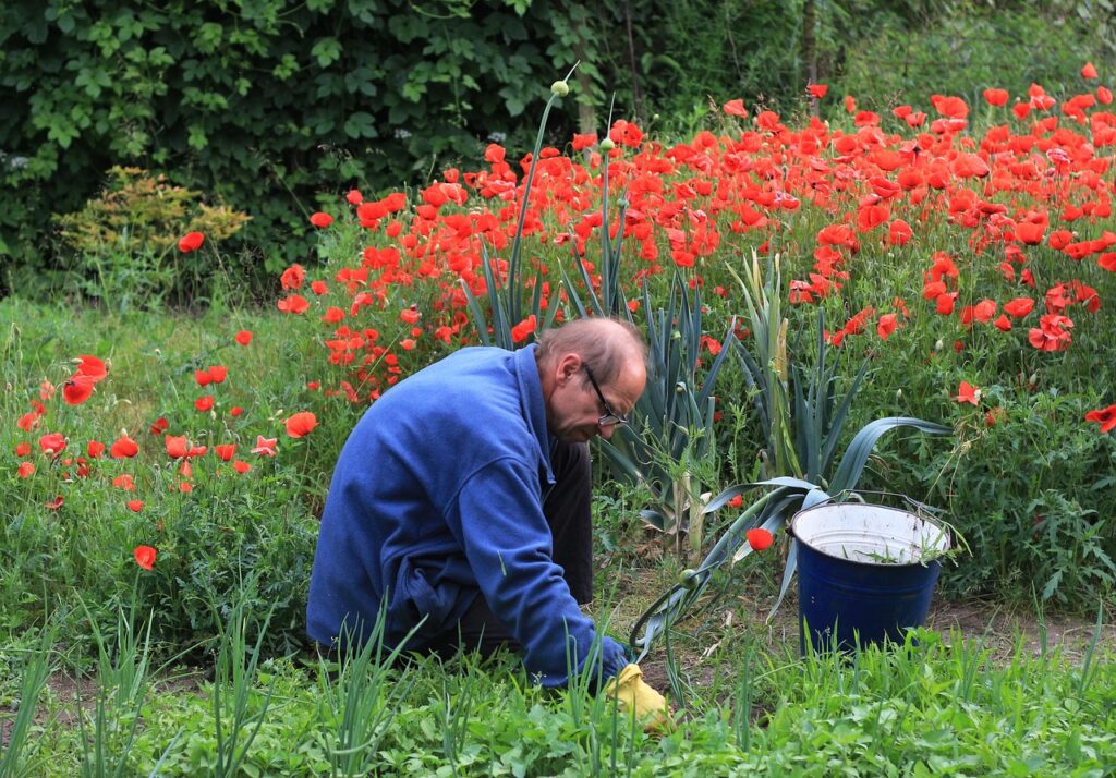 garden, work, nature-822295.jpg