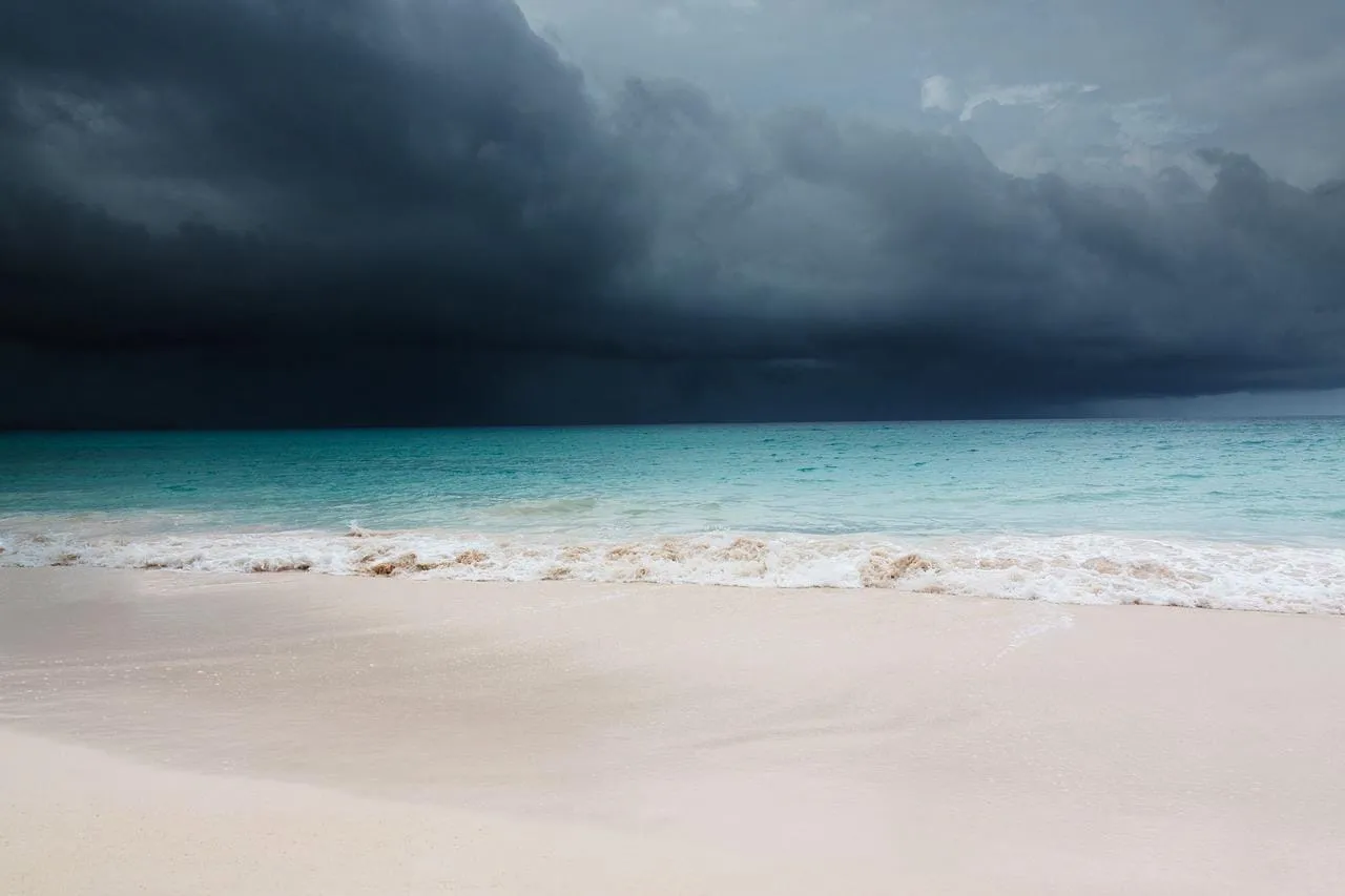 Could You Be The One Causing Climate Disasters?